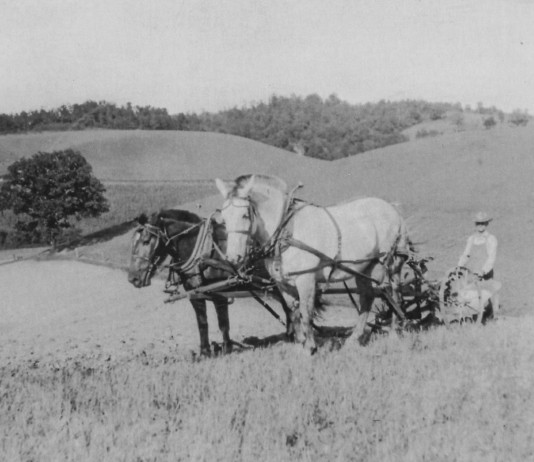 A story waiting to be told: Part 2