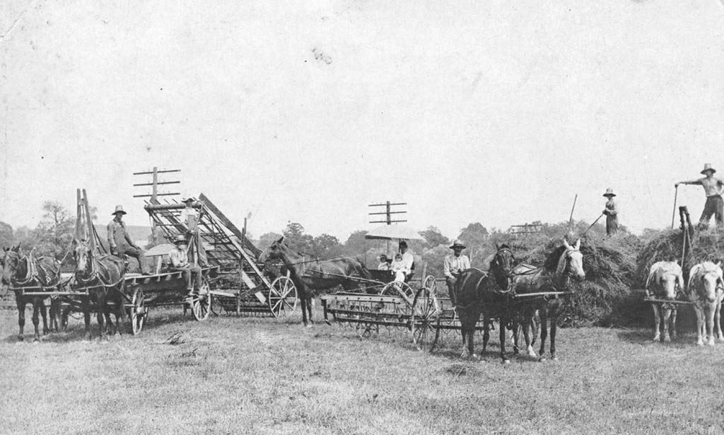 Vintage farm photo, Brunner Farm