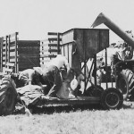 William Gebhart – Bucket Elevator