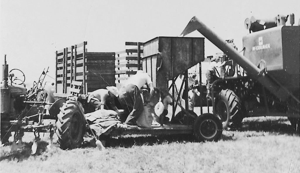 Vintage farm photo, Brunner Farm