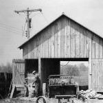 Roy Moose and Uncle Dwight