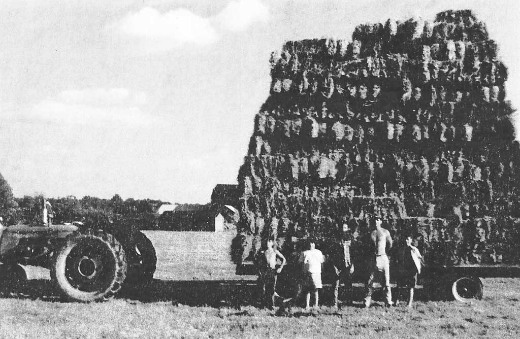 Vintage farm photo, Brunner Farm
