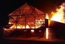 Fire takes terrible toll on beloved barn