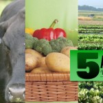 Five agri-stories you should read today 2-20-2014