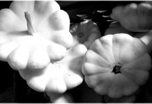 Why farming changed the way I eat, part two black and white gourds