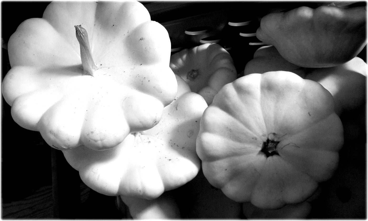 black and white gourds