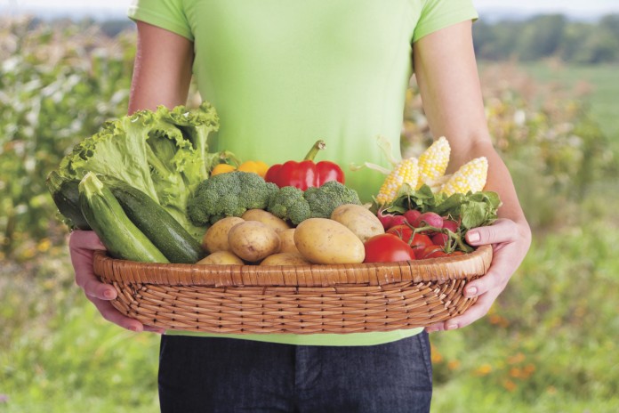 produce in basket produce in basket