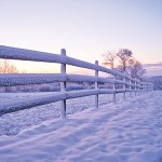 Late season blizzard leaves farm battered snow on fence