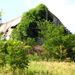 Farm failures: We didn’t plan for it to happen…