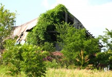 Farm failures: We didn’t plan for it to happen…