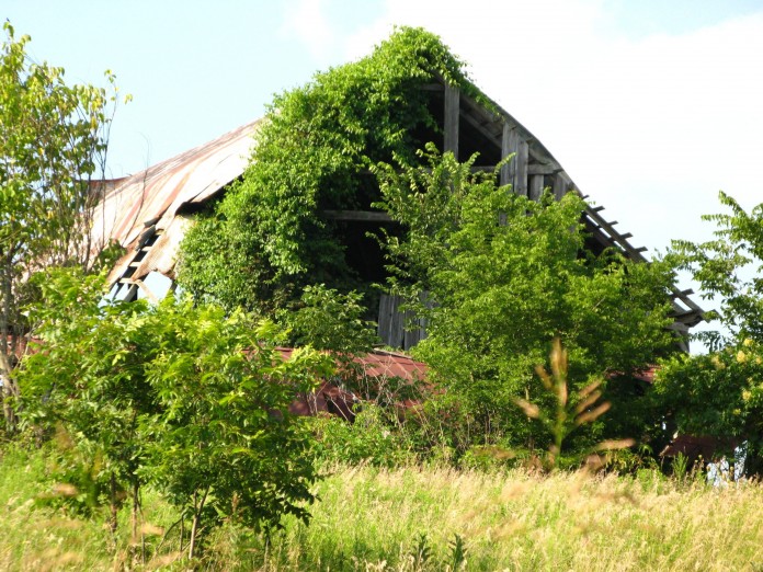 barn
