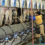 Pa. creates new fuel adjuster formula for milk