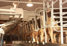 Pa. dairy industry meeting reminds participants to forge their own future milking parlor