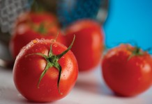 What can tomatoes teach us about biodiversity? Quite a bit photo of tomatoes
