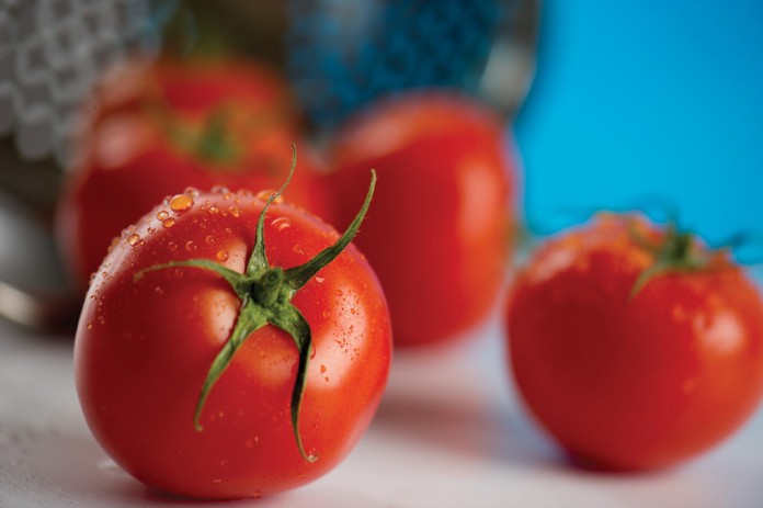 tomatoes photo of tomatoes