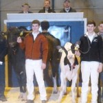 Pa. Holstein Convention Sale averages $3,933