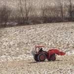 Frost seed for improvement frost seeding