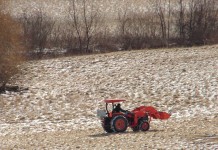 Improve on last year’s shortcomings frost seeding