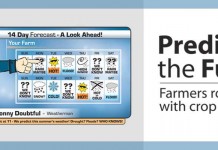 Predicting the future: Farmers rolling dice with crop insurance