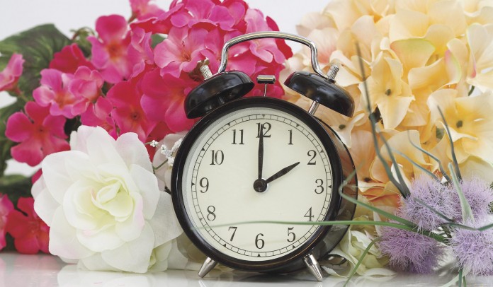 Spring-forward clock and flowers
