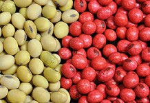 Coats protect seeds planted in cold, wet soils