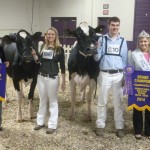 Damion daughter is grand champion at Pa. Holstein spring show