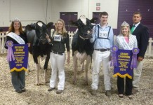 Damion daughter is grand champion at Pa. Holstein spring show
