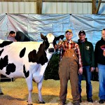 Ohio Holstein Convention: Auction totals $244,325 from 71 lots
