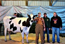 Ohio Holstein Convention: Auction totals $244,325 from 71 lots