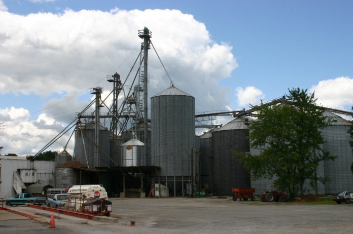 Agland Canfield.jpg AM