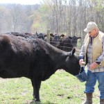 Zanesville farmer is sold on toy tractors, Angus herd