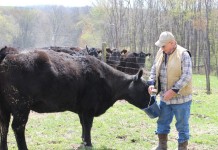 Zanesville farmer is sold on toy tractors, Angus herd