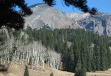 The difference between an outfitted and guided hunts