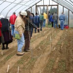 Growing in high tunnels takes planning