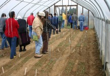 Growing in high tunnels takes planning