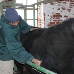 Prison inmate I crop poopy butt
