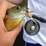 Schumman’s Water Cricket makes fly fishing easy