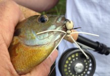 Schumman’s Water Cricket makes fly fishing easy