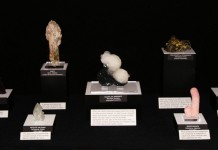 Carnegie Museum of Natural History acquires minerals collection