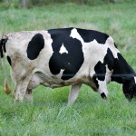 Be the change… A farmer’s pep talk!