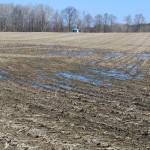 The lure of the weather market