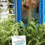 Bio-dome imagines future of food in space