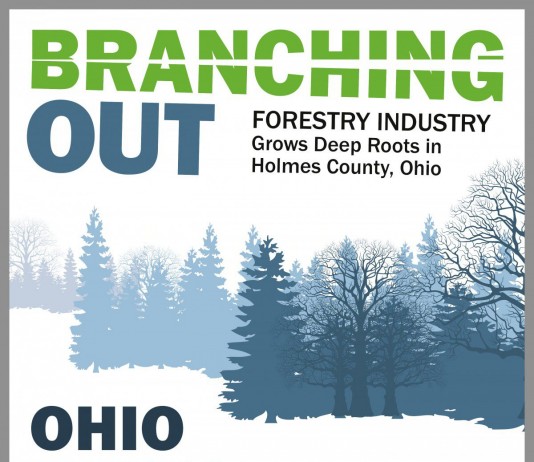 Ohio, Holmes County timber Infographic/Farm and DAiry Ohio, Holmes County timber Infographic/Farm and DAiry