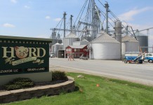 Hord Livestock focuses on ‘feeding families’