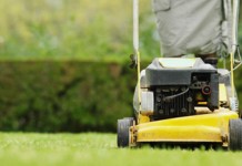 Spring seemed to be in slow-mo Lawn mower