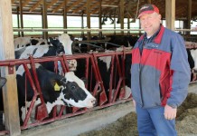 Specht dairy: More space plus good management equals more milk