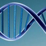 Battling the phobia of GMOs