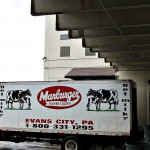 Marburger Farm Dairy: Milk production and pride