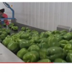 Videos can grow business for Ohio farms