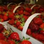 strawberries.white house